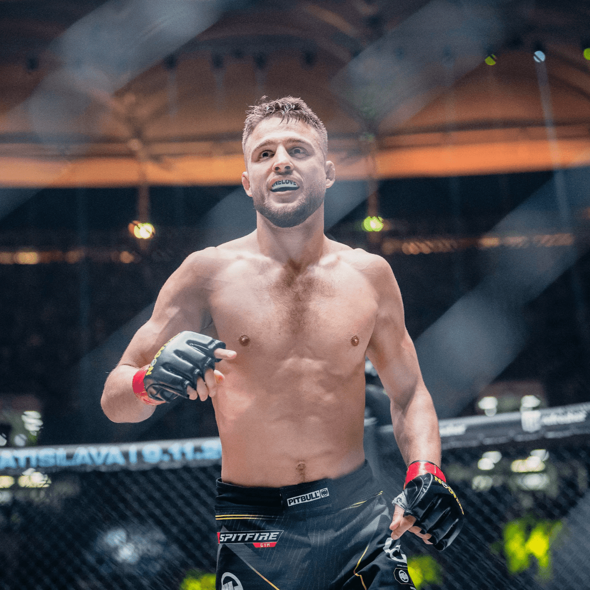 MMA GLOVE NIKO SAMSONIDSE OKTAGON 62