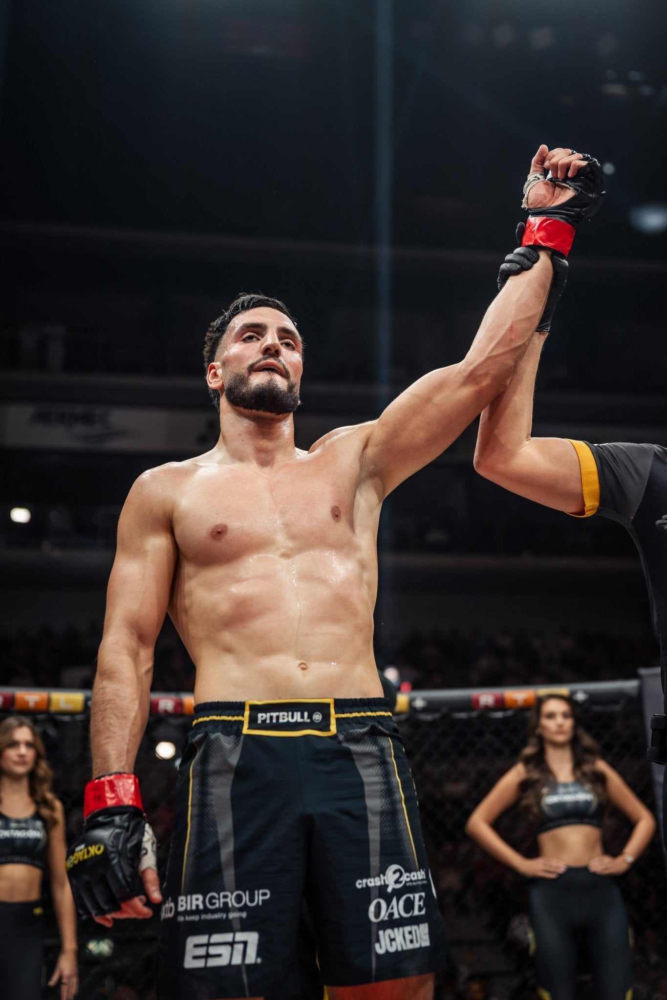 MMA RUKAVICE TAMERLAN DULATOV OKTAGON 82– OKTAGON MMA Store