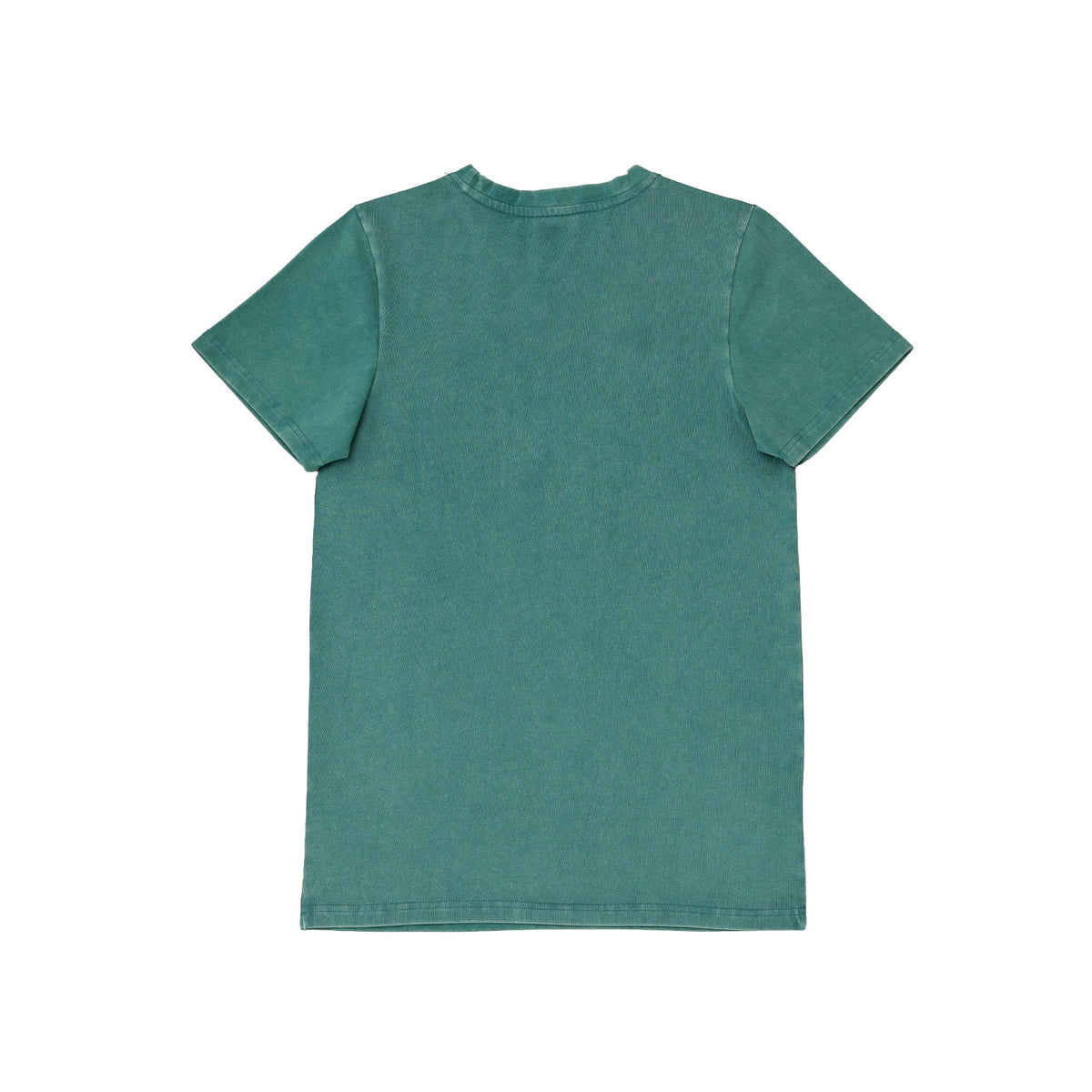 WASHED T - SHIRT OKTAGON - GREEN - OKTAGON MMA Store